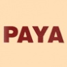 Paya